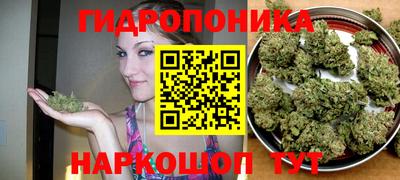 гидропоника Бузулук