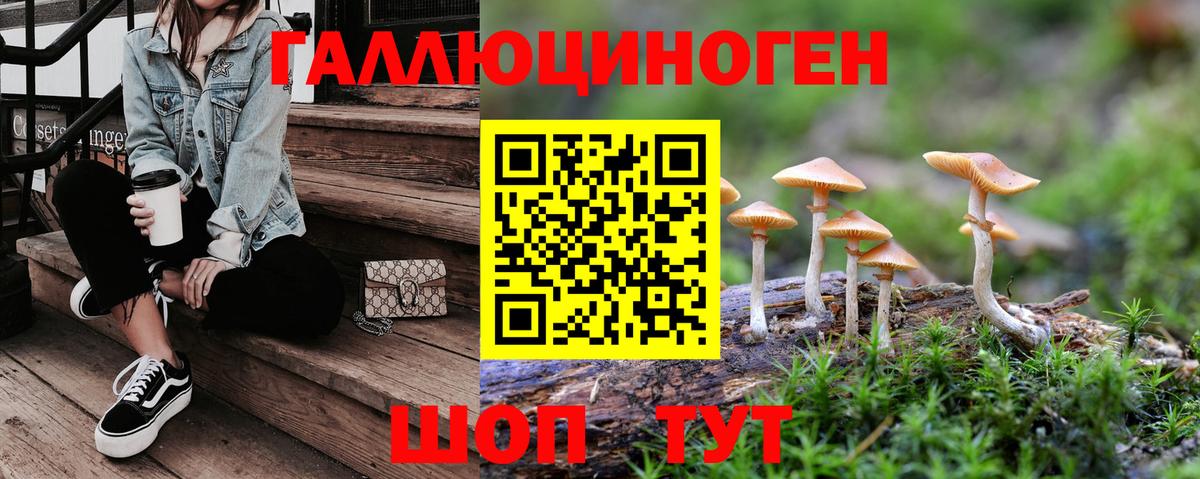 цены   Псилоцибиновые грибы ЛСД  Вход с VPN  Котлас 