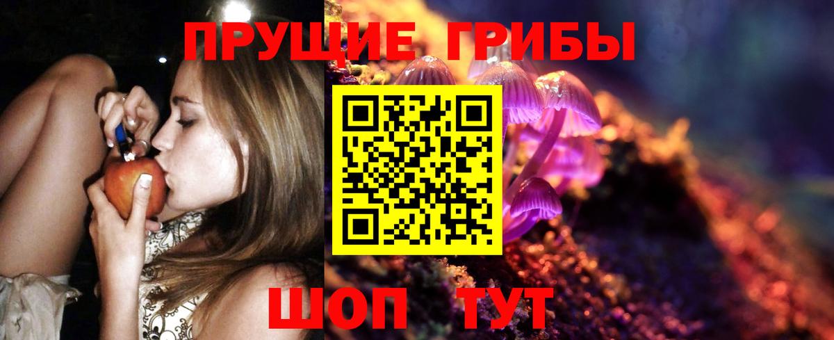 Псилоцибиновые грибы GOLDEN TEACHER Котлас